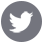 social-logo_twitter